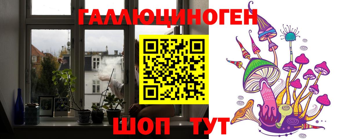Галлюциногенные грибы прущие грибы  дарнет шоп  Псилоцибиновые грибы Psilocybine cubensis  Якутск  Вход с VPN 